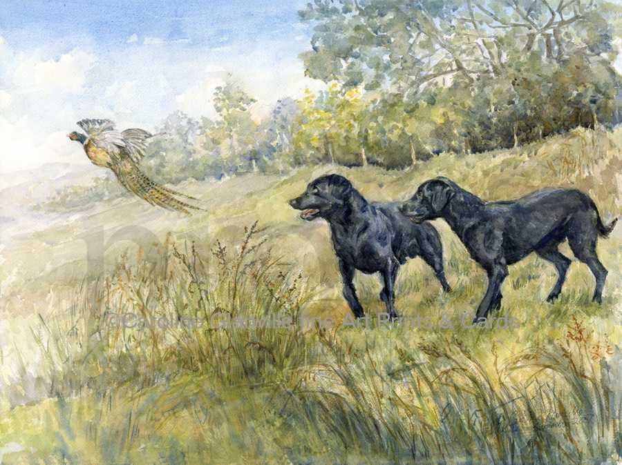 black labrador dogs, painting by Caroline Glanville